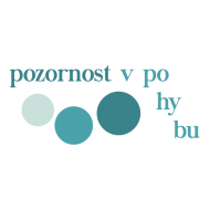 Pozornost v pohybu